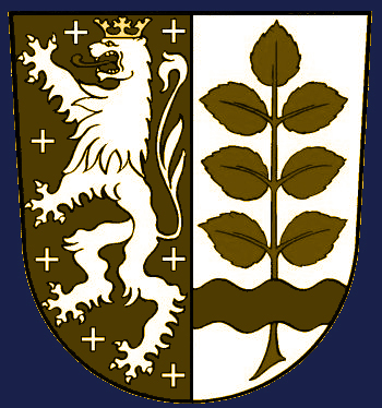 Wappen Niedersalbach gold